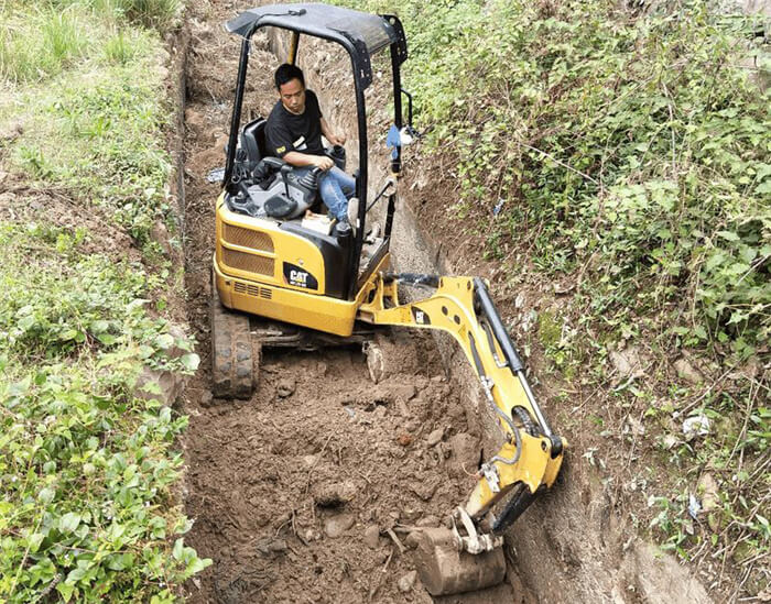 合肥庐阳区杏花公园绿化施工